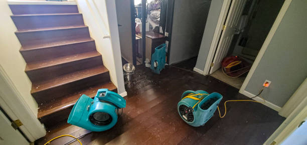 Best Water damage contractors near me  in Newport, AR