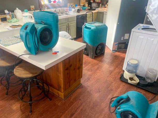 Best 24/7 water damage repair  in Newport, AR