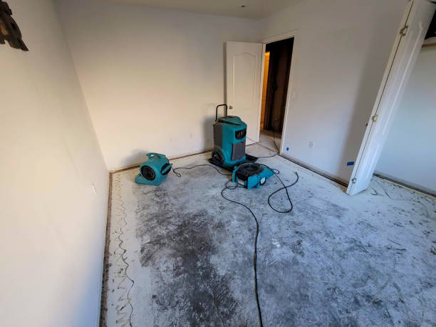 Water damage restoration mold remediation in AR