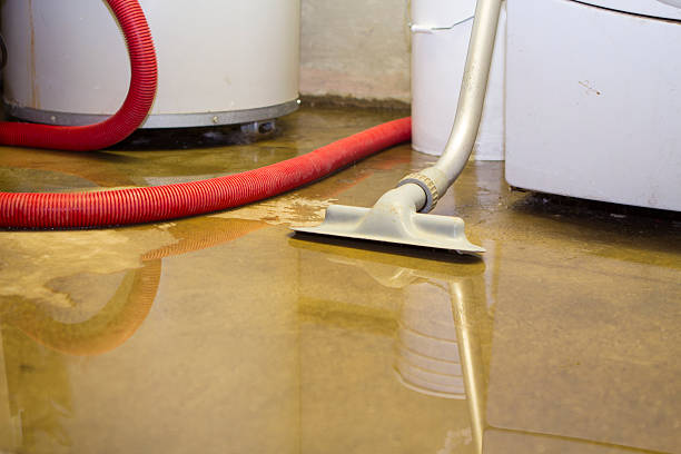 Best Basement water damage restoration  in Newport, AR