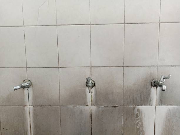 Best Fire Damage Restoration  in Newport, AR