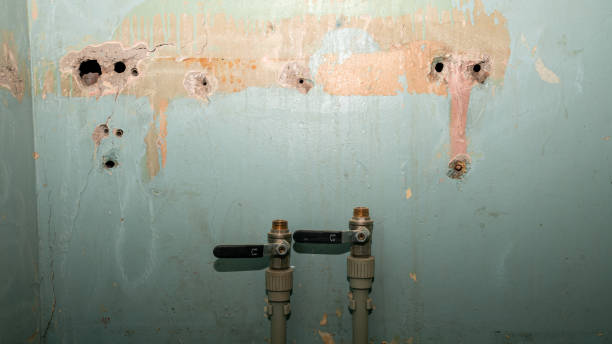 Best Water damage restoration near me  in Newport, AR