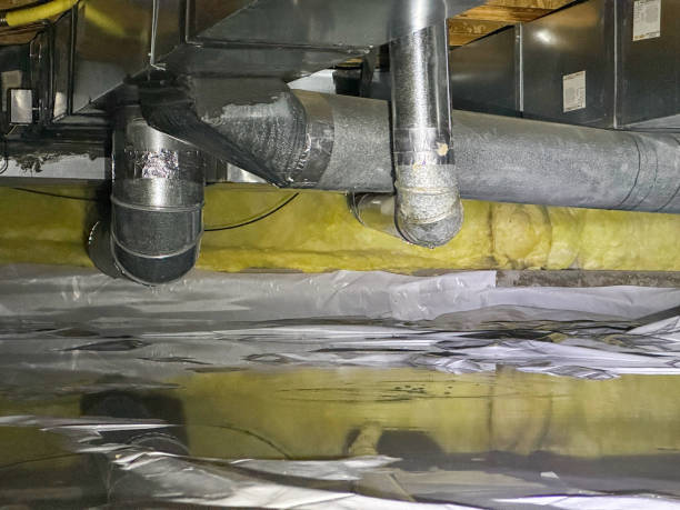 Best Carpet water damage restoration  in Newport, AR
