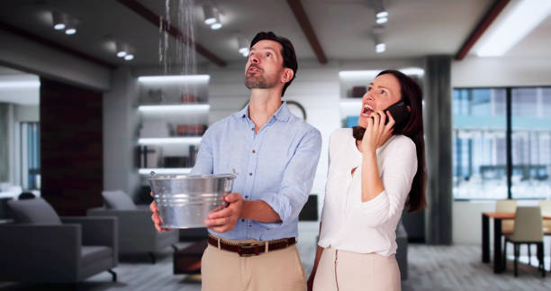 Best Mold removal after water damage  in Newport, AR